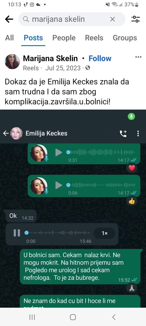Opis slike