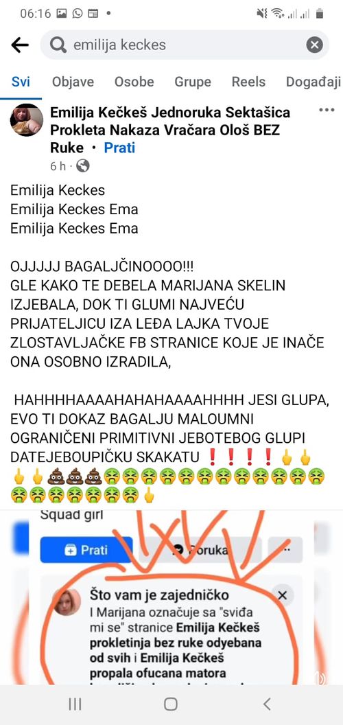 Opis slike